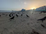 First Encounter at the Beach