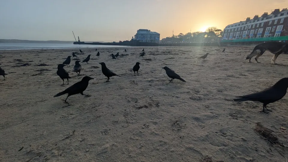 First Encounter at the Beach